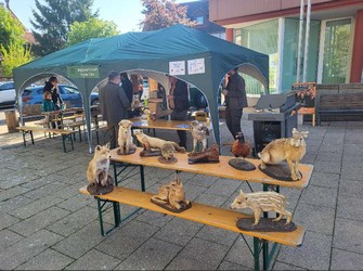 Erlebnisschule Wald und Wild 2025